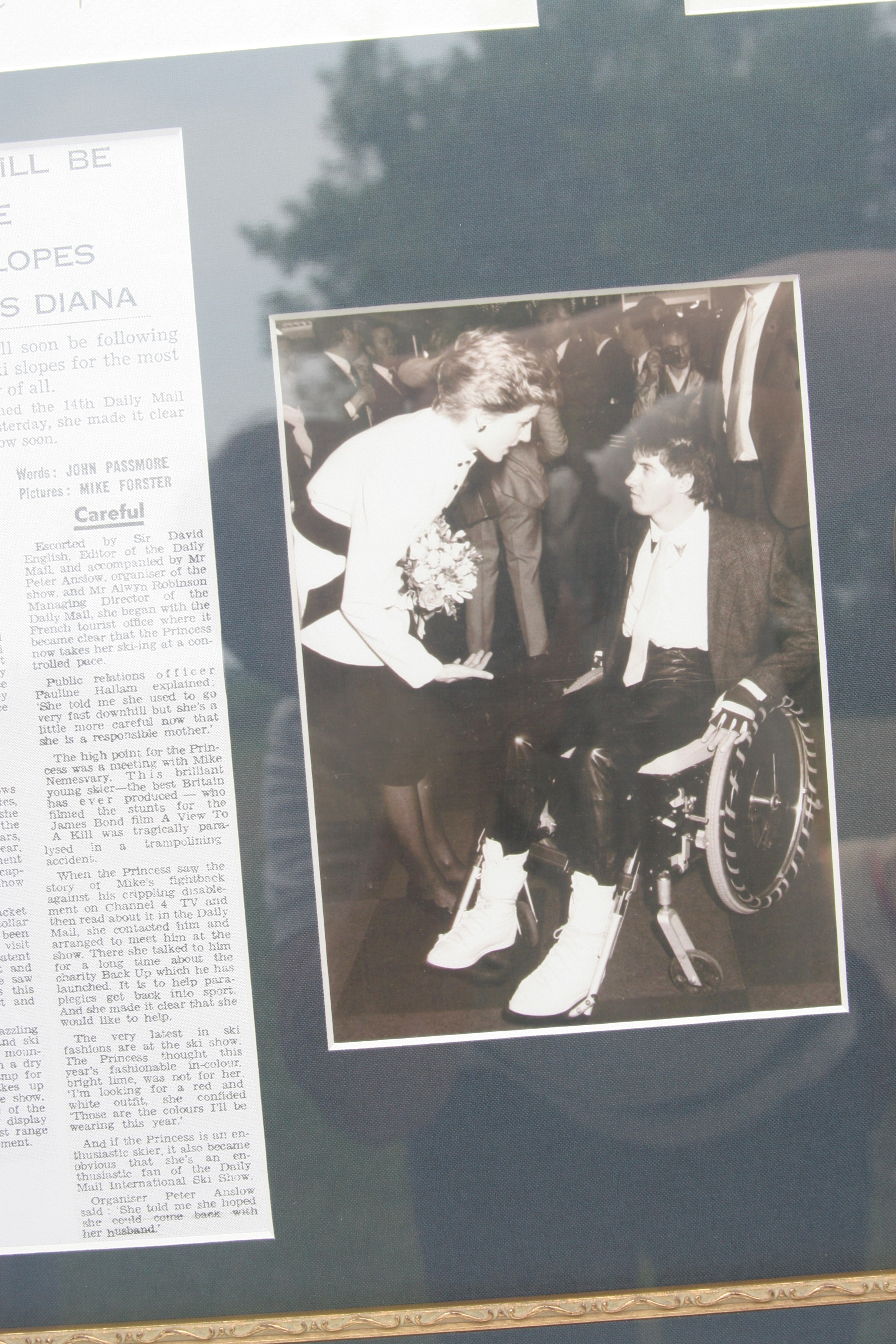 Princess Diana Article